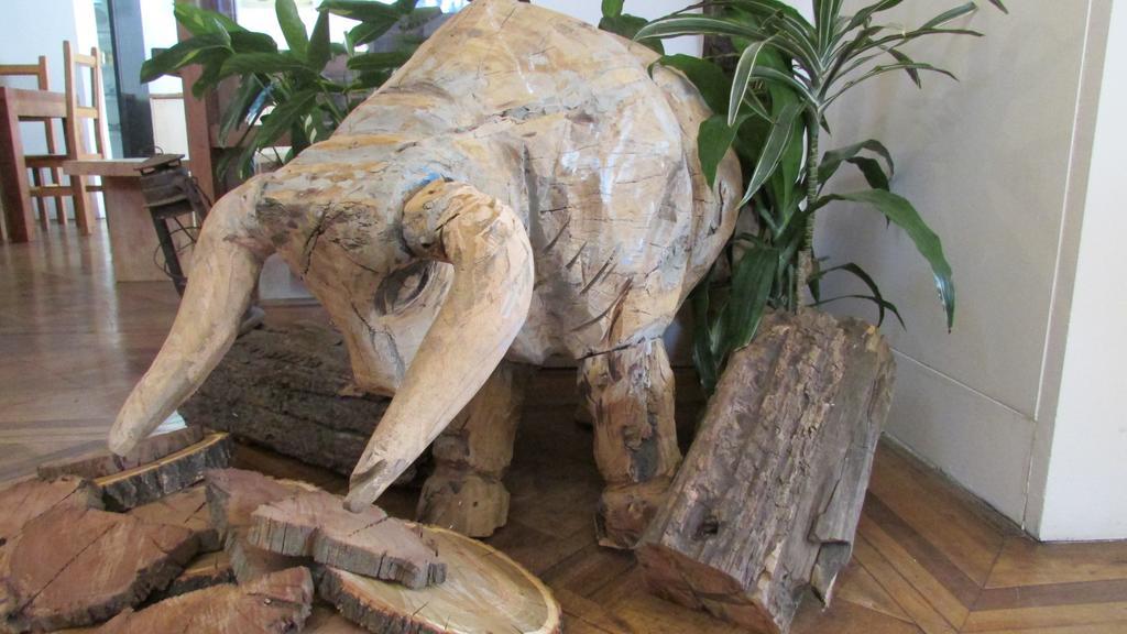 Hostal Caracol 圣地亚哥 外观 照片